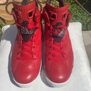 Nike ᗩIᖇ ᒍOᖇᗪᗩᑎ 6  "History of Jordan" Spizike